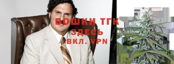 сатива Володарск