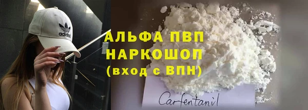 сатива Володарск