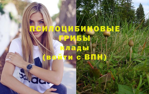 сатива Володарск