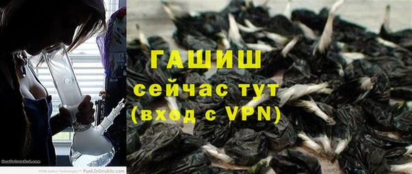 сатива Володарск