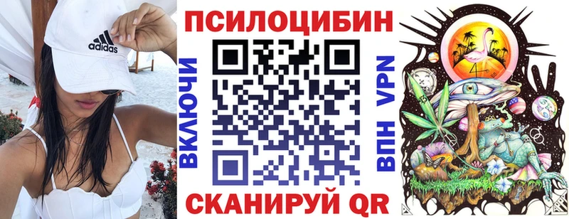 наркотики  Новошахтинск  Галлюциногенные грибы мицелий 
